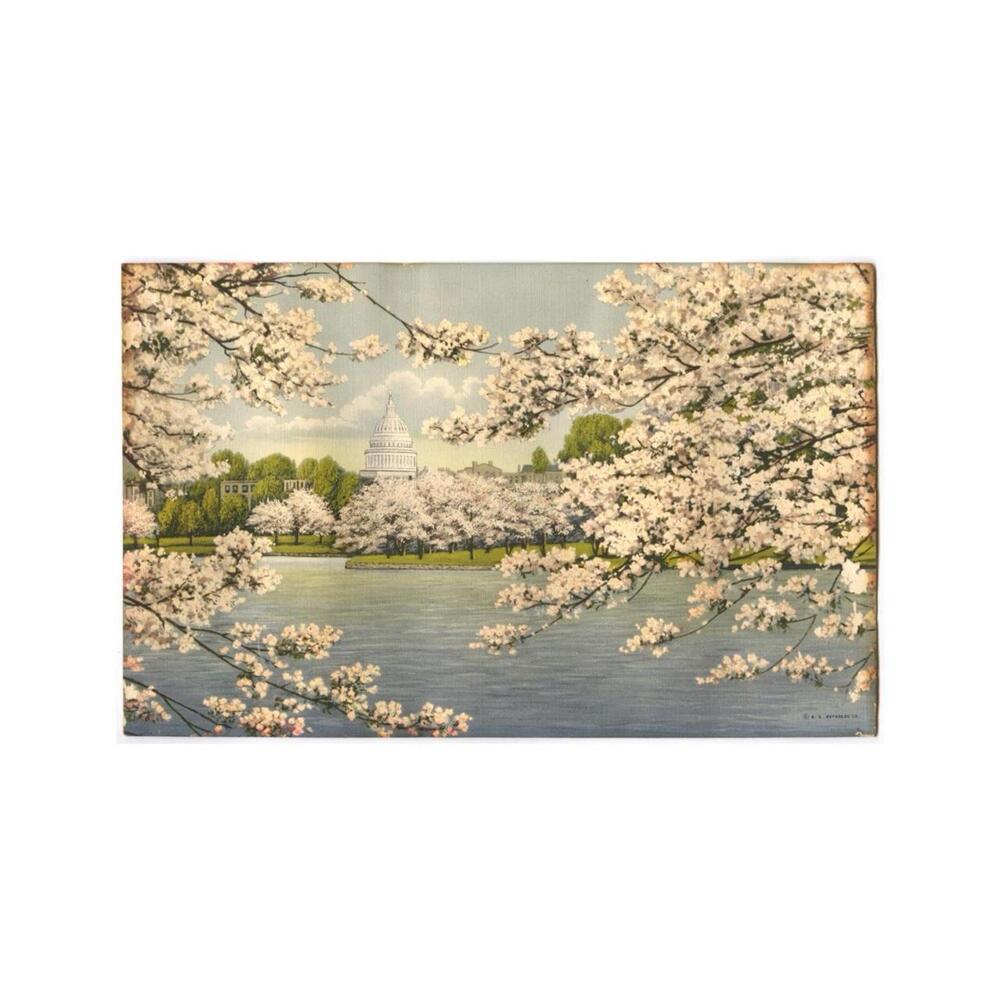 Vintage B. S. Reynolds “Vista of Capitol Through Cherry Blossoms” Print Framed